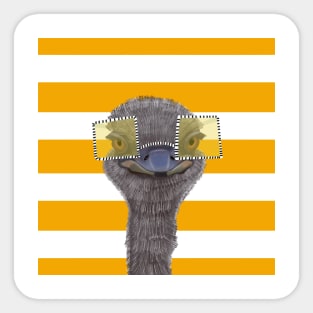 Funny Ostrich With Glasses Sticker